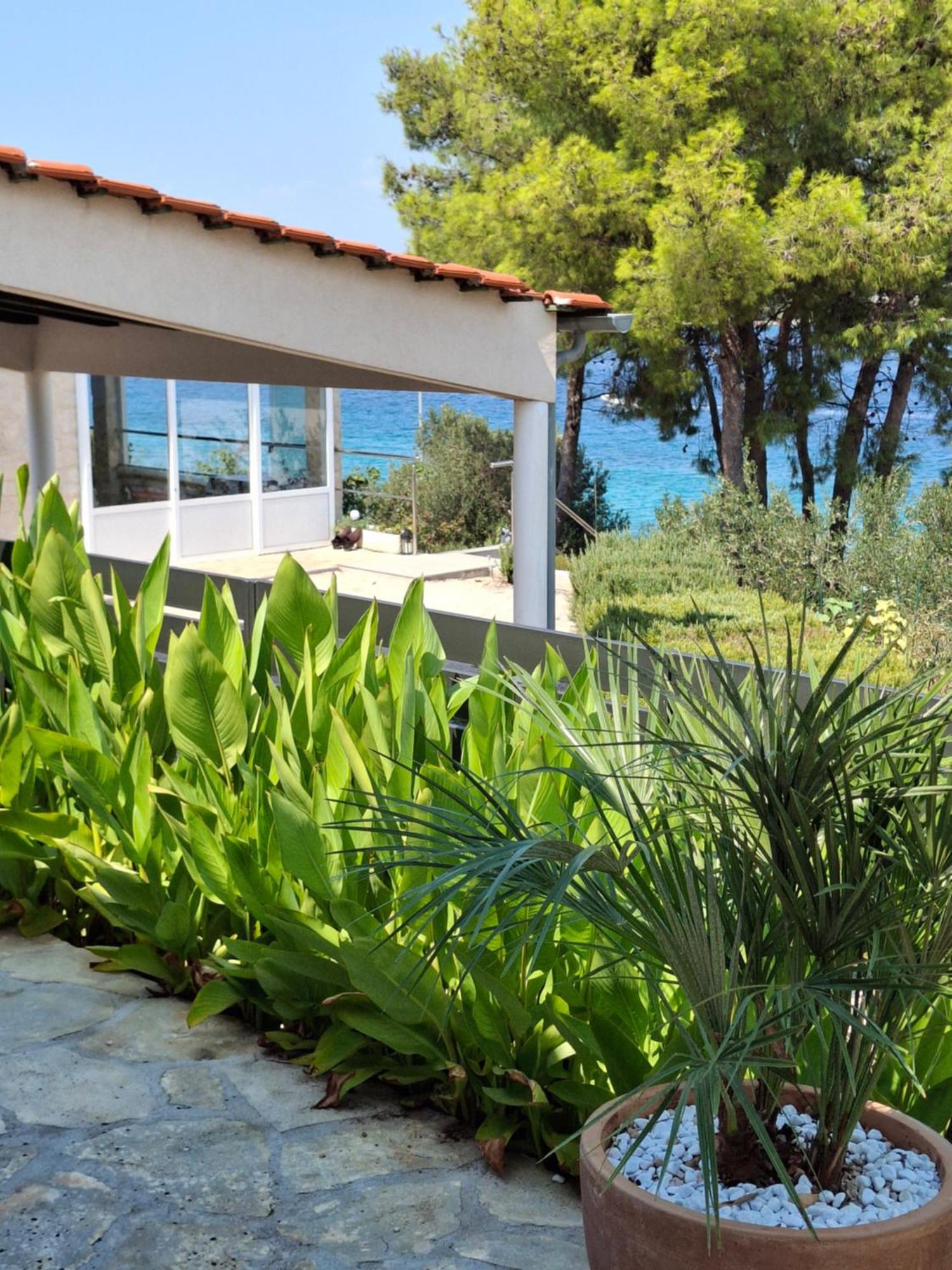 Villa Gjardini - Sparadici Grebaštica 外观 照片